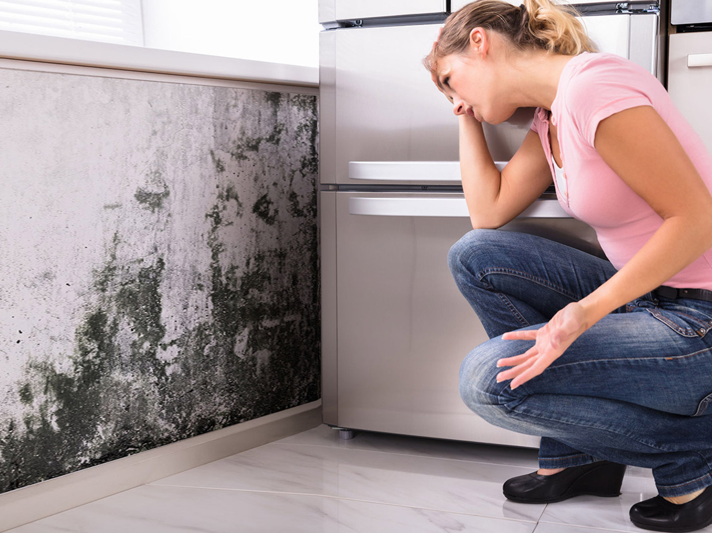 Mold Remediation That Works